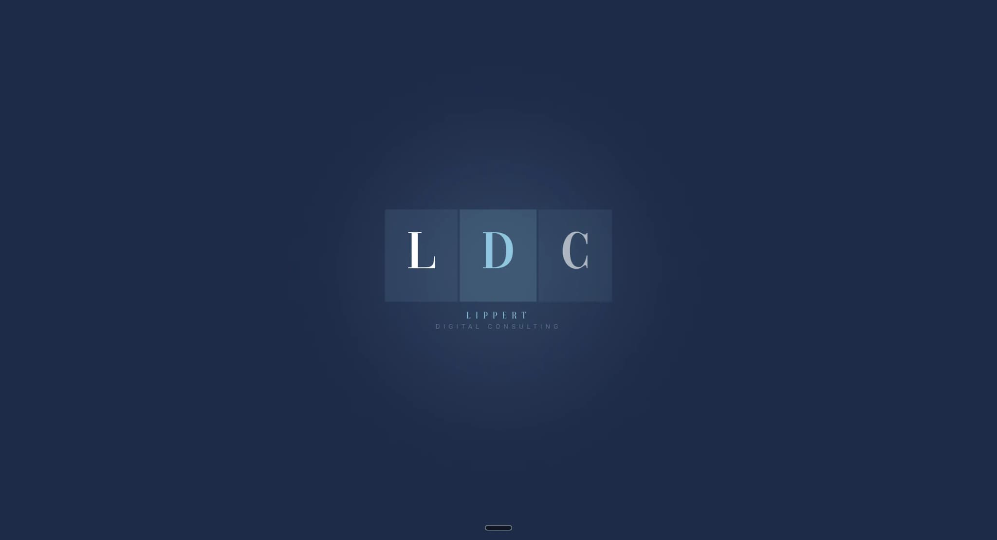 Lippert Digital Consulting